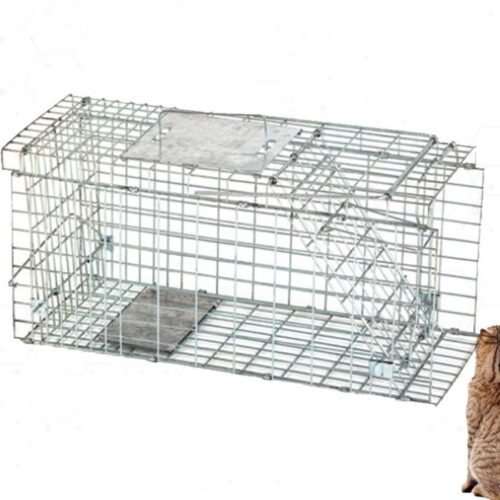CAGE CHAT