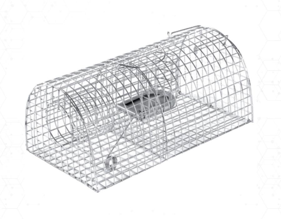 CAGE MULTICAPTURE RATS
