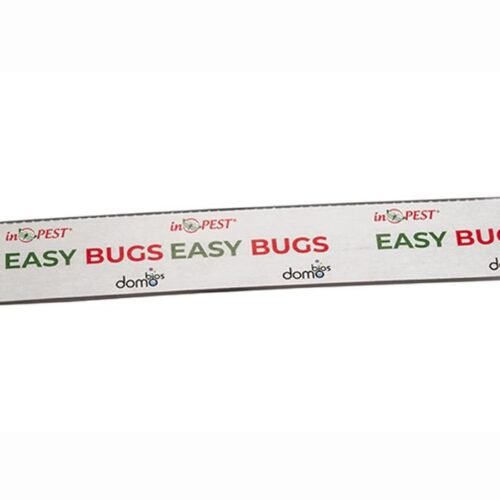 EASY BUGS