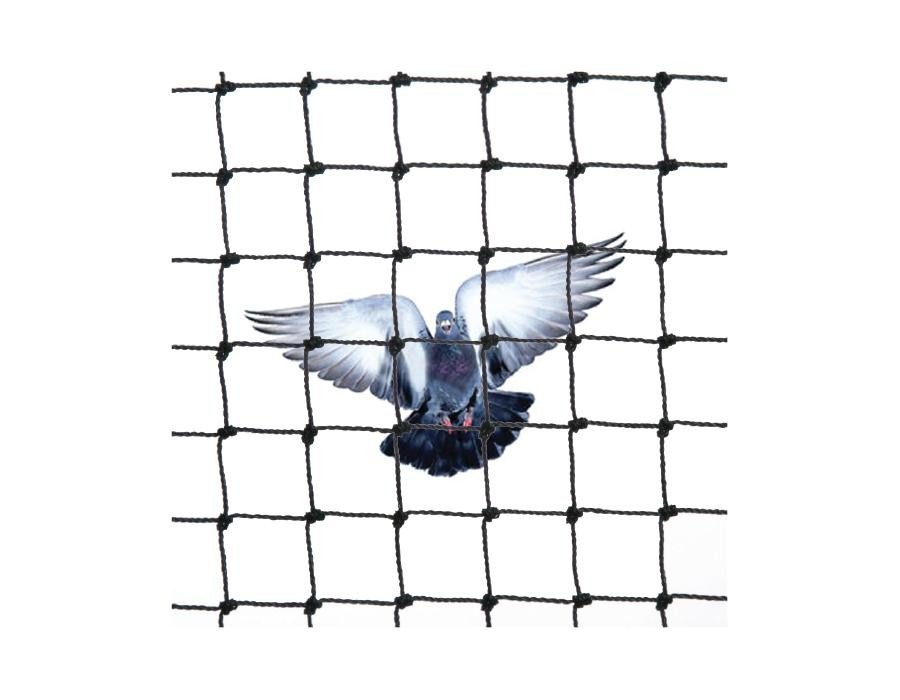 FILETS ANTI-OISEAUX